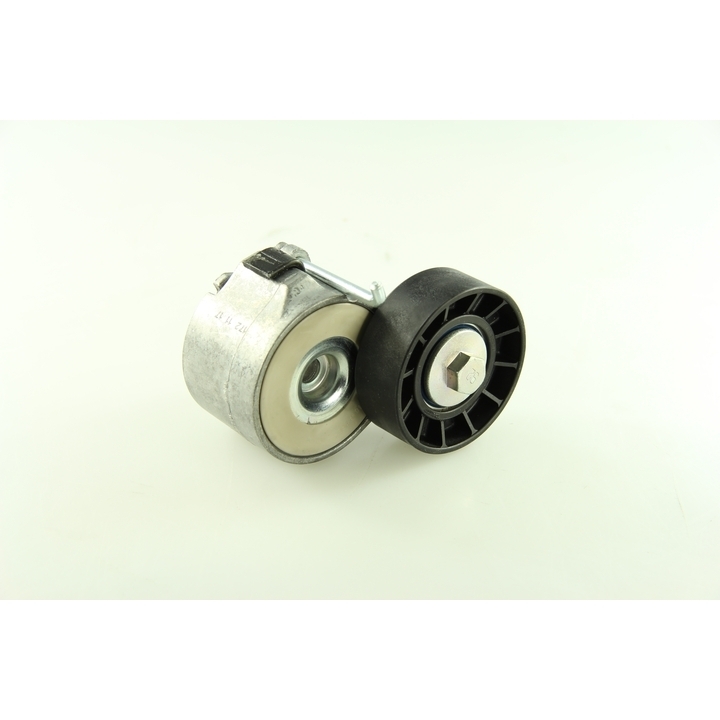 Image of Riemspanner, Poly V-riem
