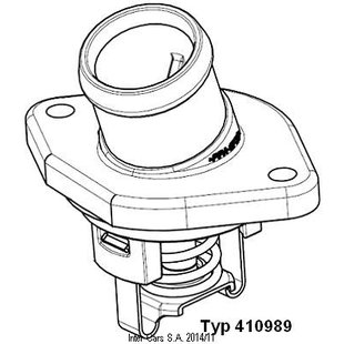 Thermostat, Kühlmittel WAHLER 410989.80D