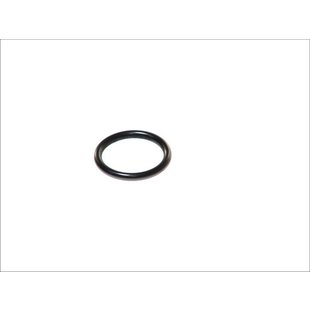 Dichtring DT Spare Parts 4.20410