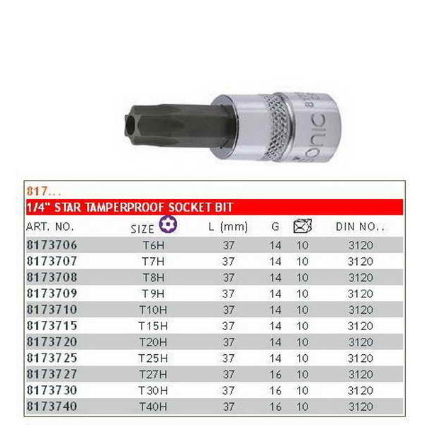 Stiftbuchse 1/4" TORX SONIC 8173725