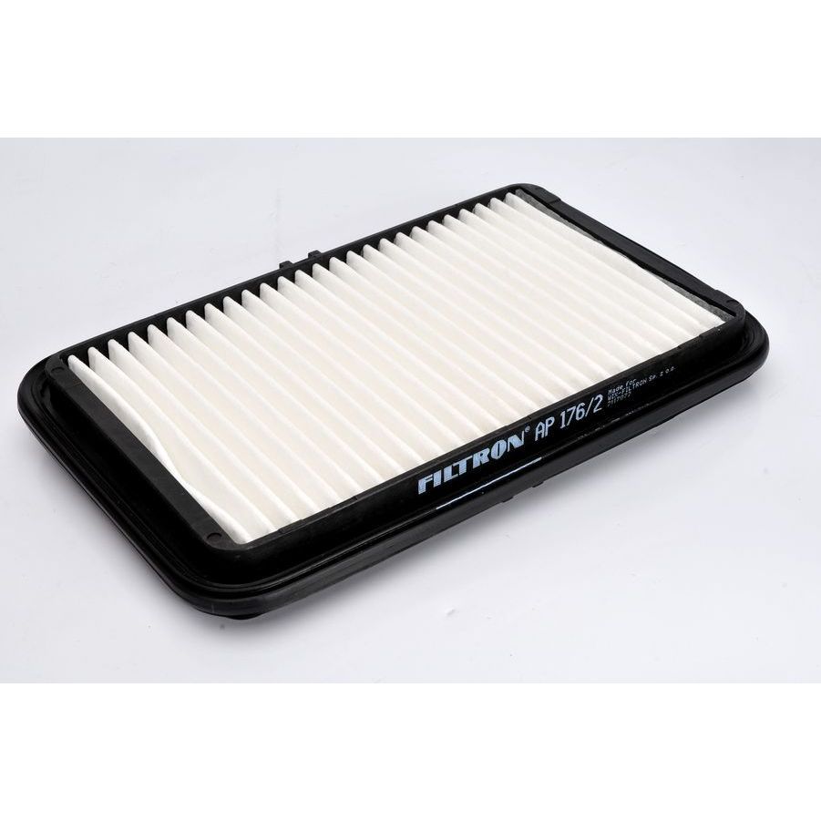 Filtron Luftfilter Ap176/2