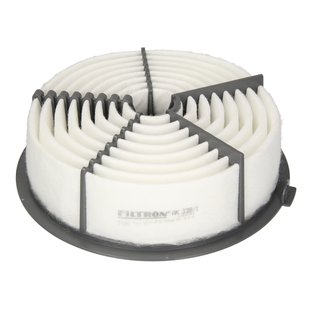 Luftfilter FILTRON AK 338/1