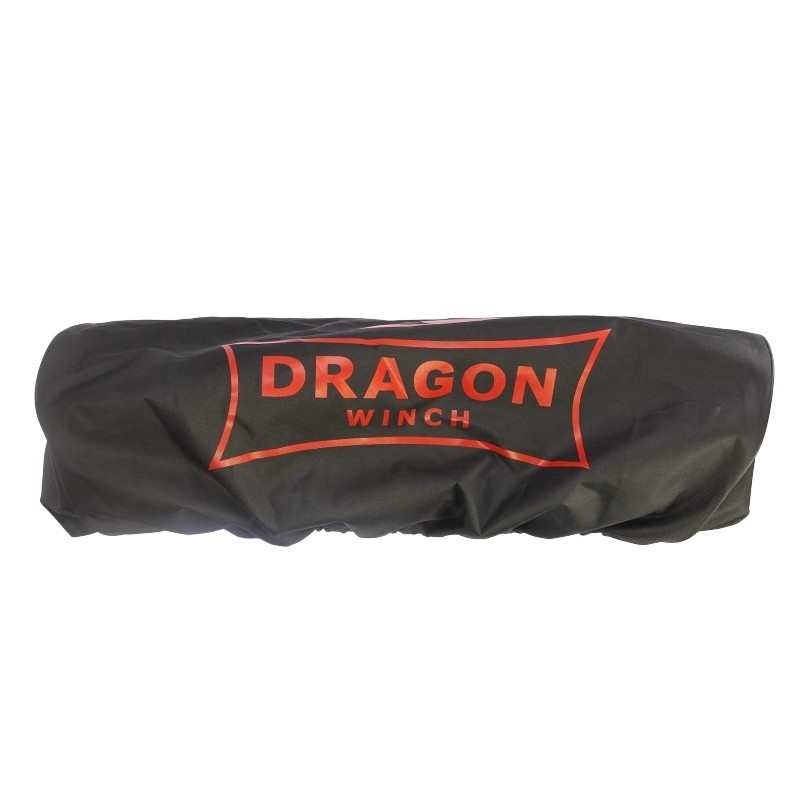 Image of Accessoires, lieren DRAGON